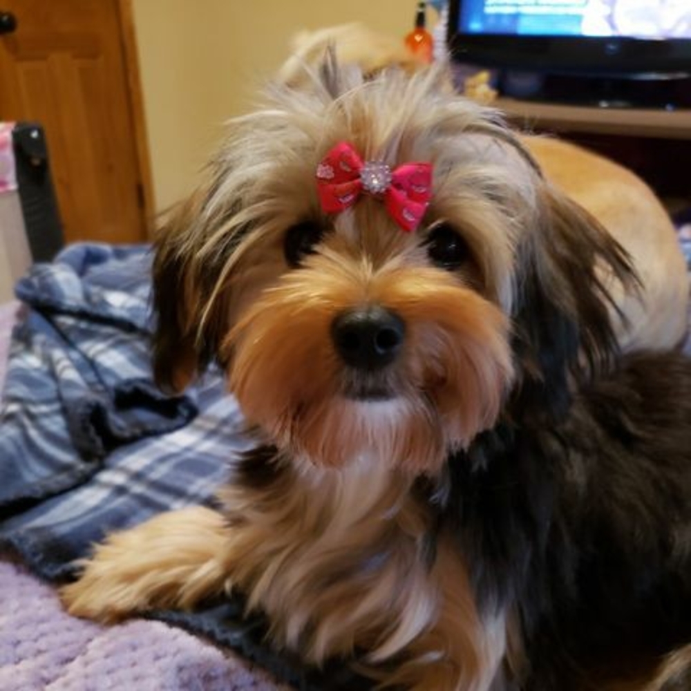 Meet your Posher, Kimberlee